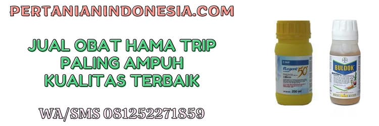 jual,obat hama,murah,pertanian indonesia,hama thrips